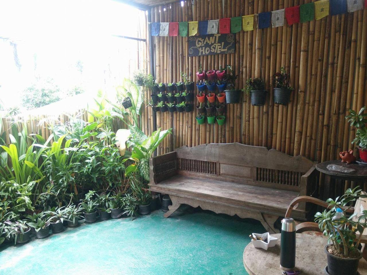 J Giant Hostel Чіангмай Екстер'єр фото